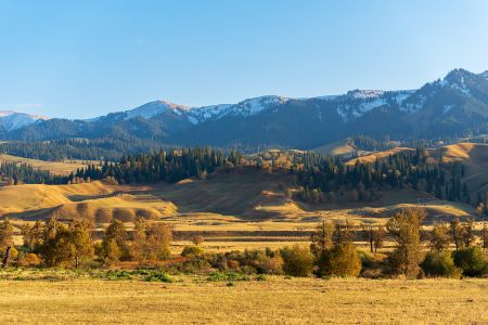 新疆伊犁周邊那拉提一日游